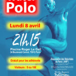 2019-04-08-Water-Polo-724×1024