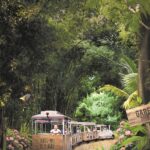 NM59-Dossier-PdL-TerraBotanica