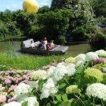 TerraBotanica barques Angers CoraliePILARD5