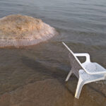 nh-to-israelmermorte