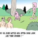 cartoons03