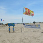 CamargueSoleil2907