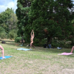 YogaANP-Vincennes22r-nat