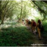 OrganisationRandonnues06