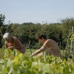 jardinage01
