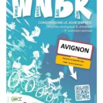 cyclonudista-avignon