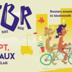 cyclonudista-bordeaux