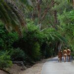 NM73-Pratiquer-Temoignage-Heliopolis04