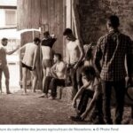 agriculteurs-wasselonne