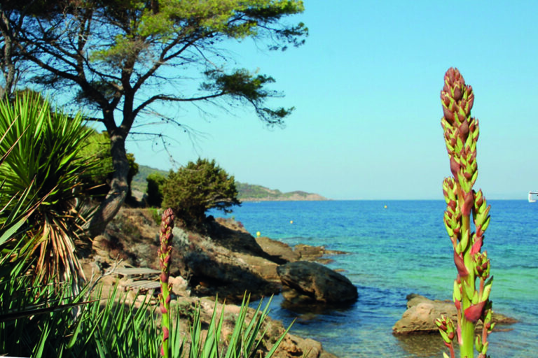 Bienvenue à Héliopolis, sur l’Ile du Levant Bienvenue à Héliopolis, sur l’Ile du Levant